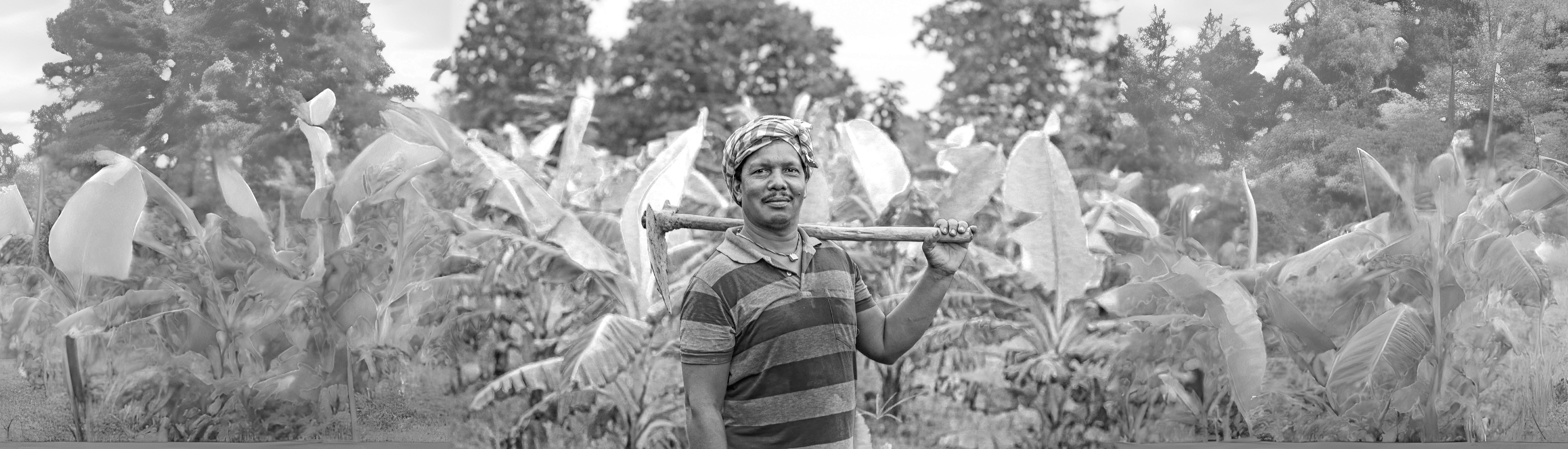 Sustainable Agriculture