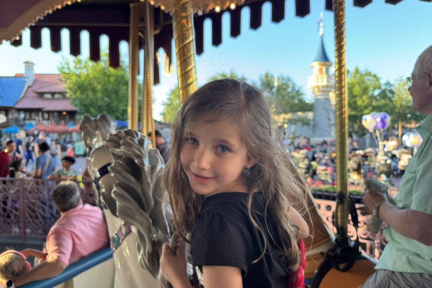Arya On The Carousel Of Life